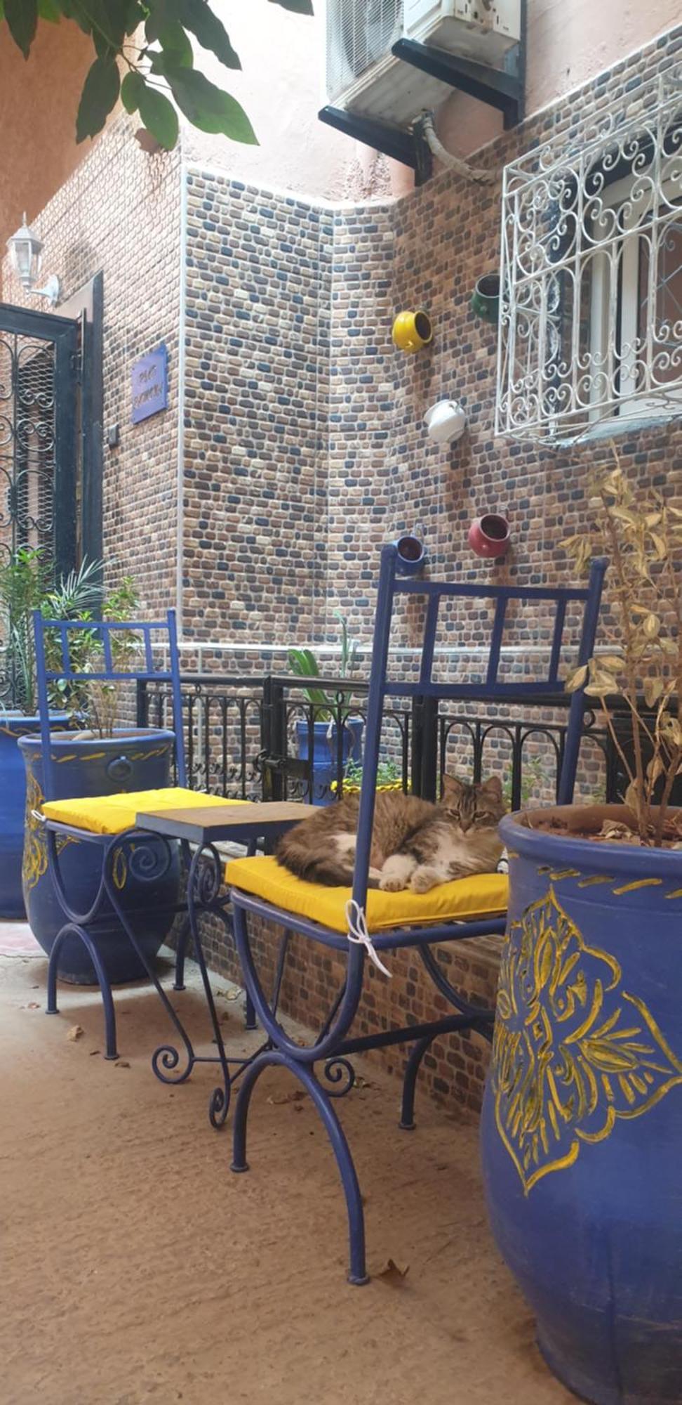 Riad Ramona Lqariya Seyaheya Marrákes Kültér fotó
